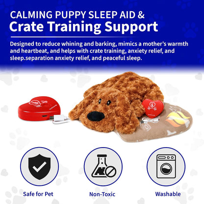 Pet Fit For Life toy inside a dog crate for training