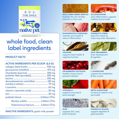 Native Pet dog vitamins nutritional powder scoop