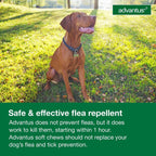 Advantus non prescription daily oral flea treatment packaging back view