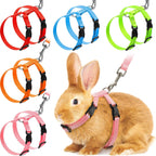 Outus adjustable rabbit harness front view showing colorful nylon vest design.