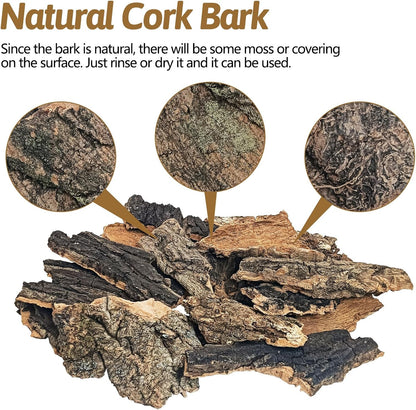Safe sized flat cork substrate wood pieces laid out to prevent pet ingestion.