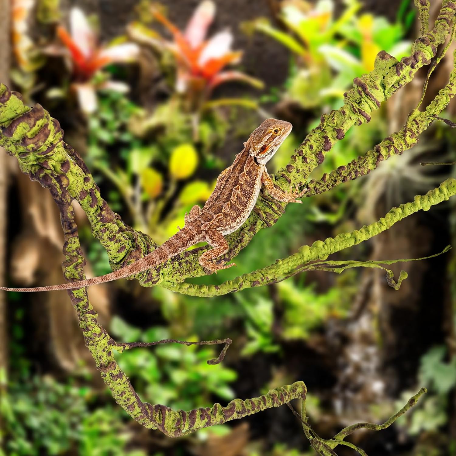 DIY 3D habitat design using Pinvnby flexible reptile vines
