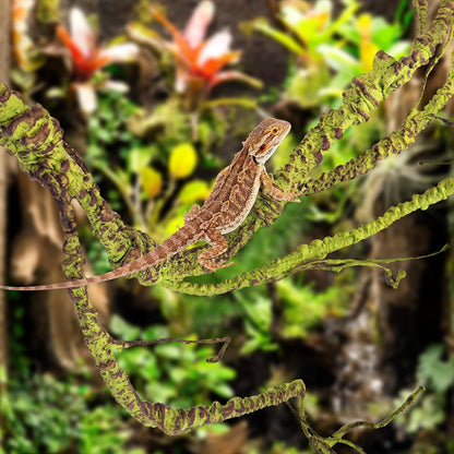 DIY 3D habitat design using Pinvnby flexible reptile vines