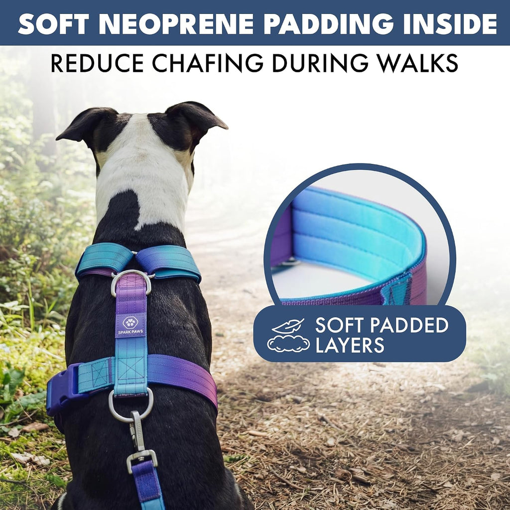 Spark Paws premium pet gear imported from the USA for large dogs