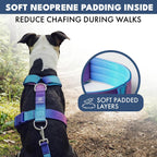 Spark Paws premium pet gear imported from the USA for large dogs