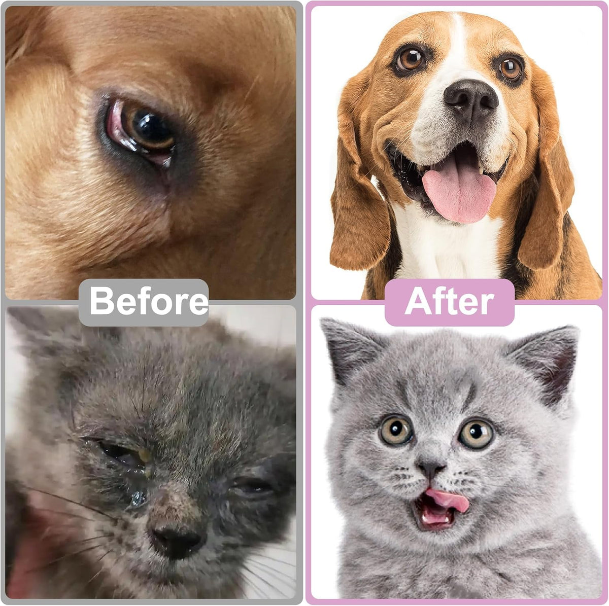 Safe and gentle pet eye drops for clearing eye discharge