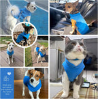 Soft blue puppy clothes for small dogs and cats back view