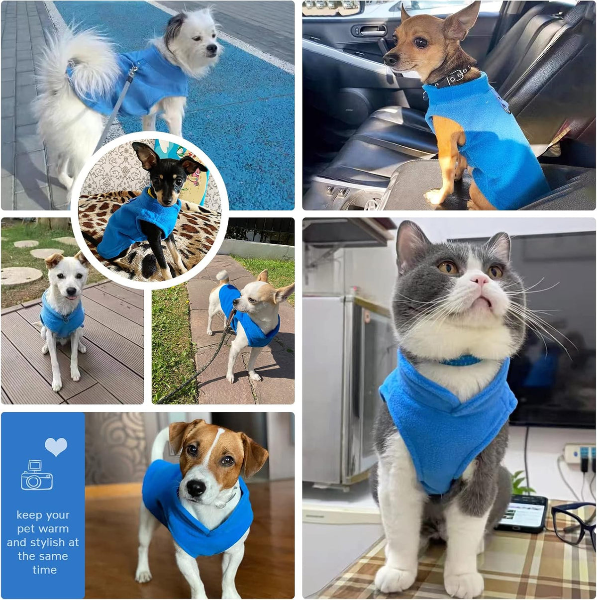 Soft blue puppy clothes for small dogs and cats back view