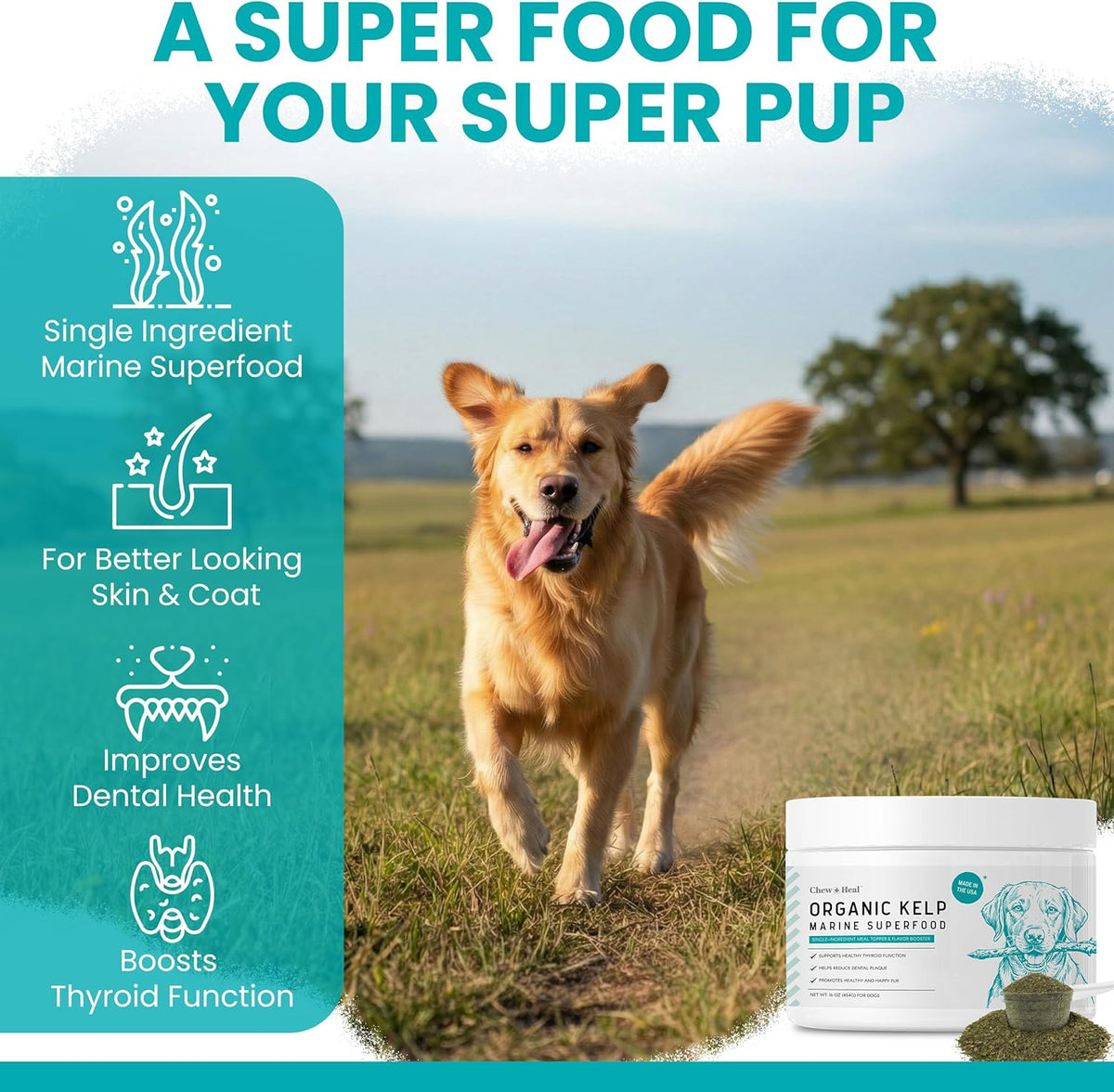 Chew Plus Heal Labs sea kelp powder supplement label details