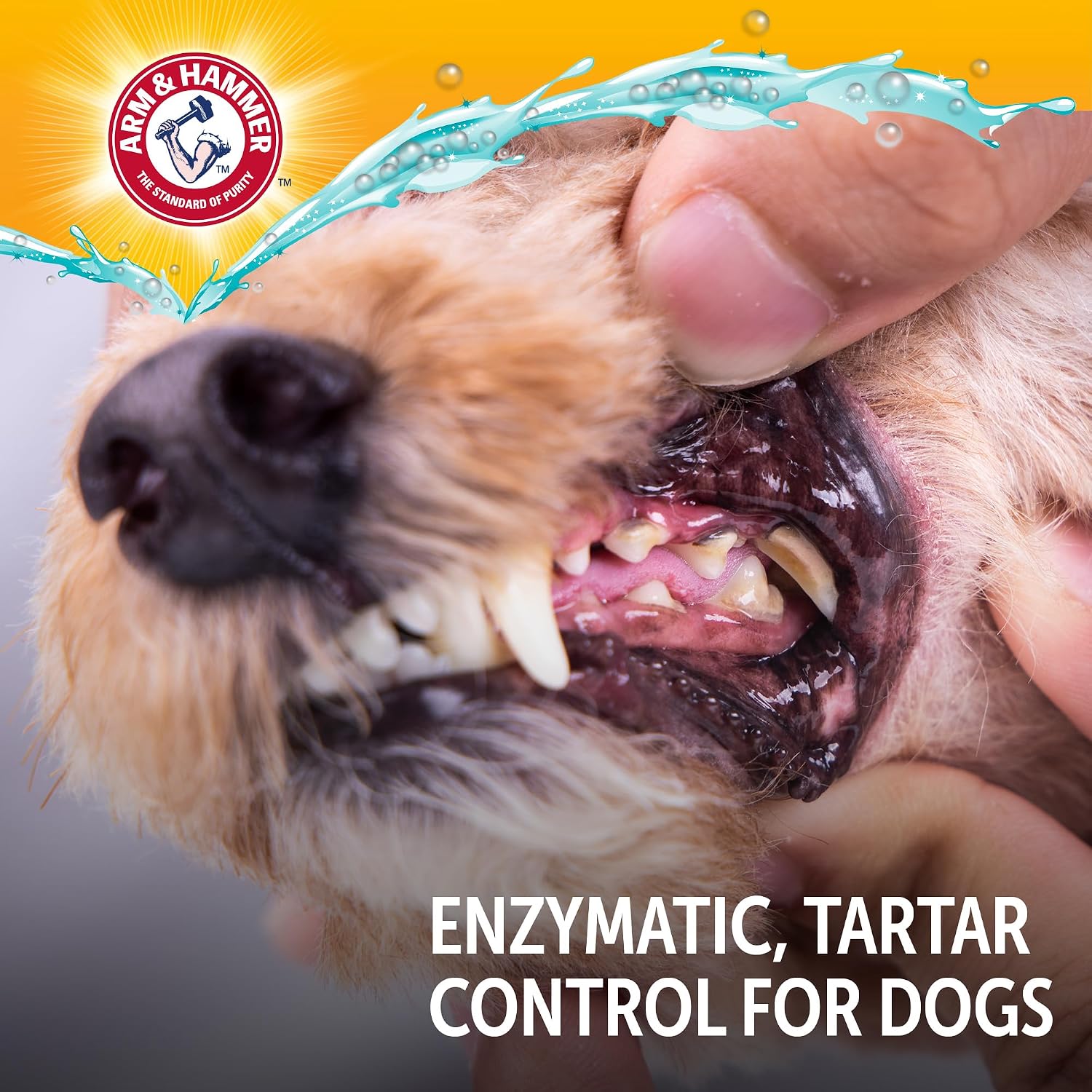 Arm and Hammer complete dental kit for small dogs and puppies