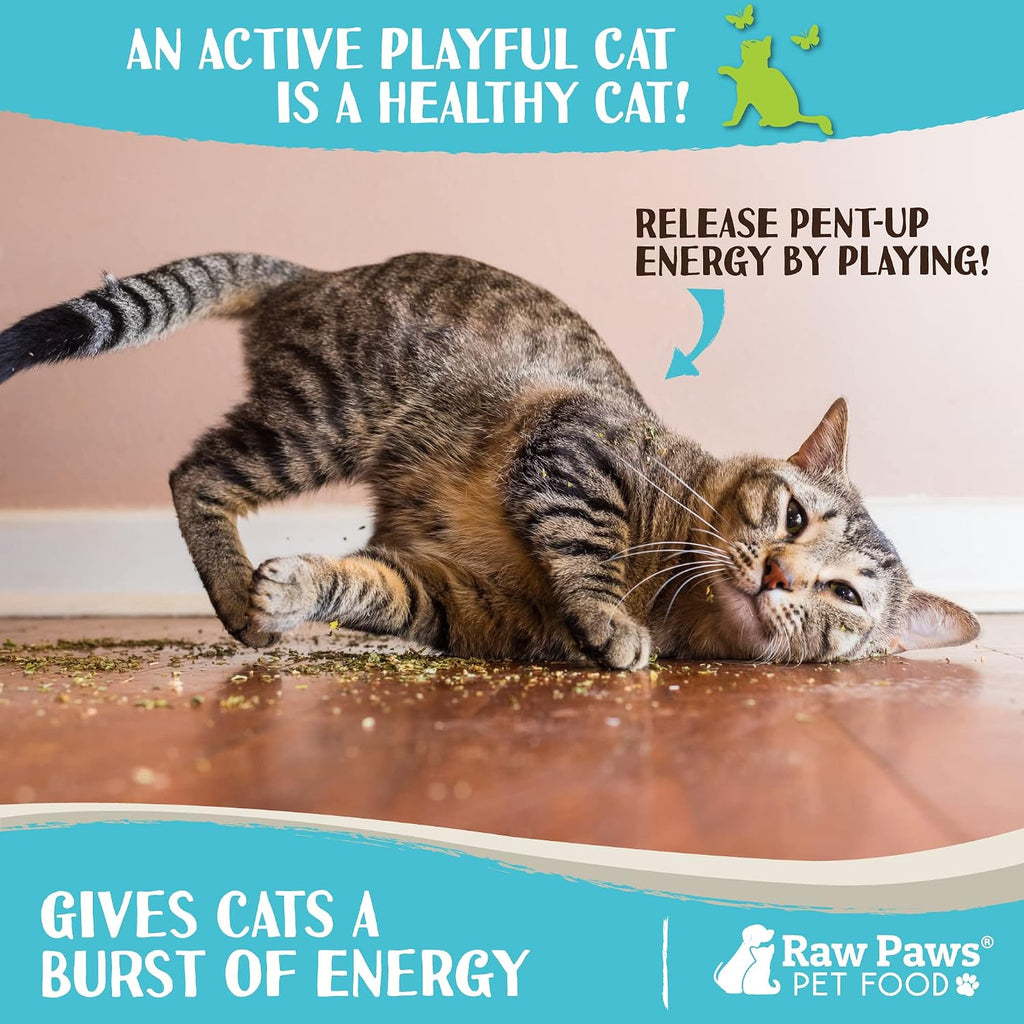 Pure digestible pet catnip for anxiety and stress relief