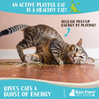 Pure digestible pet catnip for anxiety and stress relief