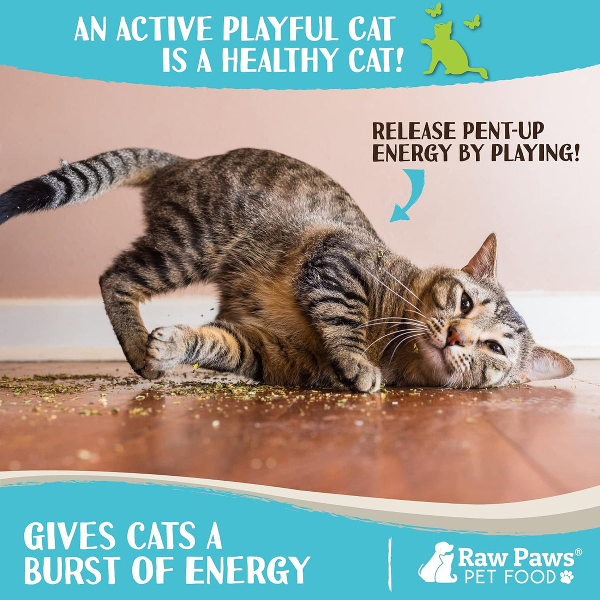 Pure digestible pet catnip for anxiety and stress relief