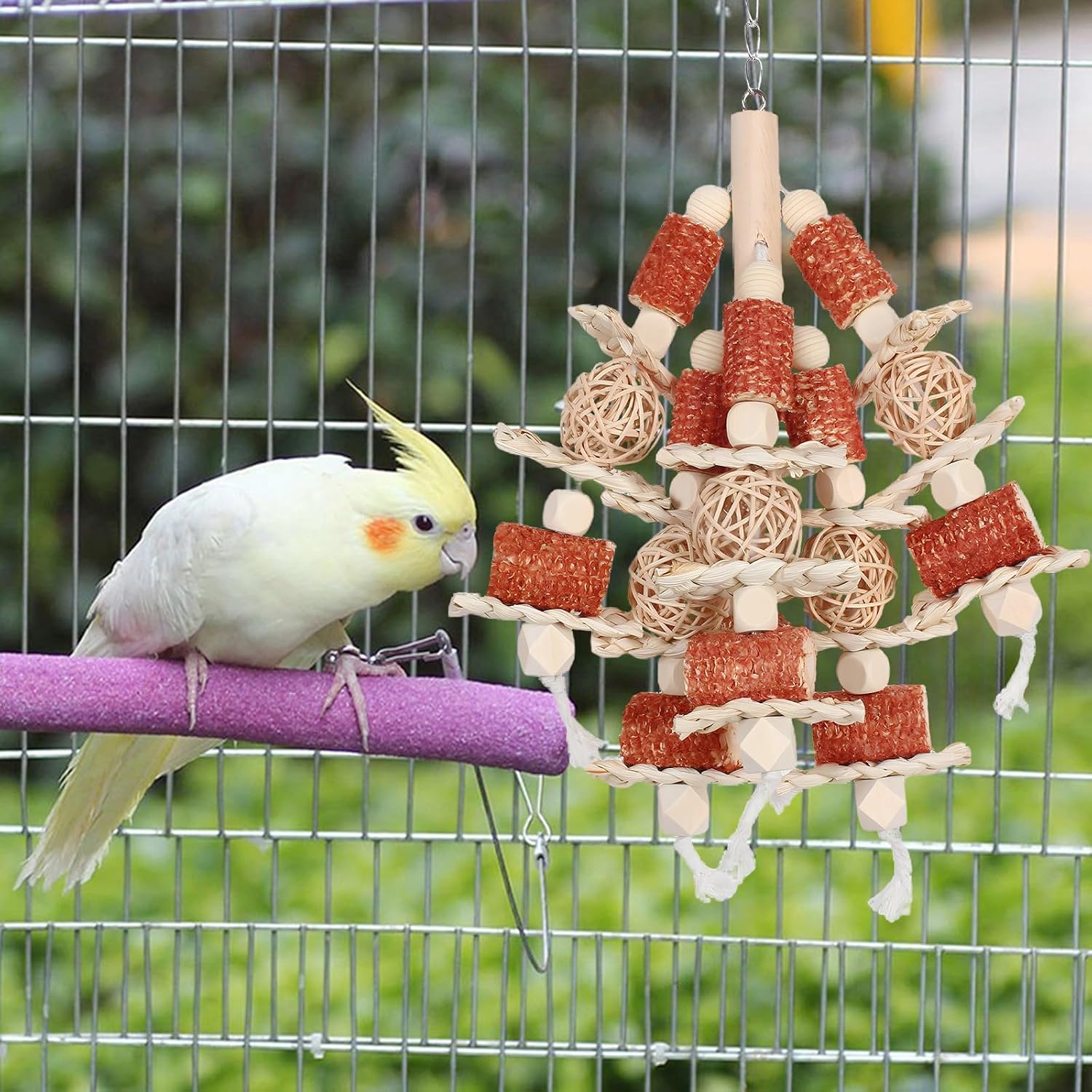 Kencunay hanging bird foraging toy close up on corn cobs