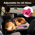 Heavy duty aluminum hook for dog seatbelt