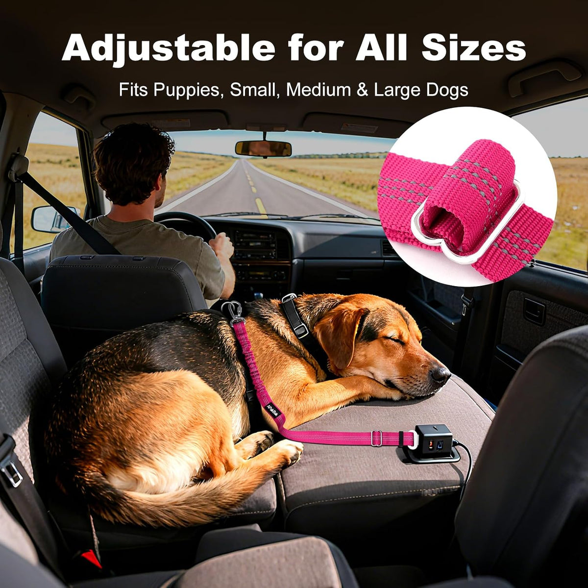 Heavy duty aluminum hook for dog seatbelt