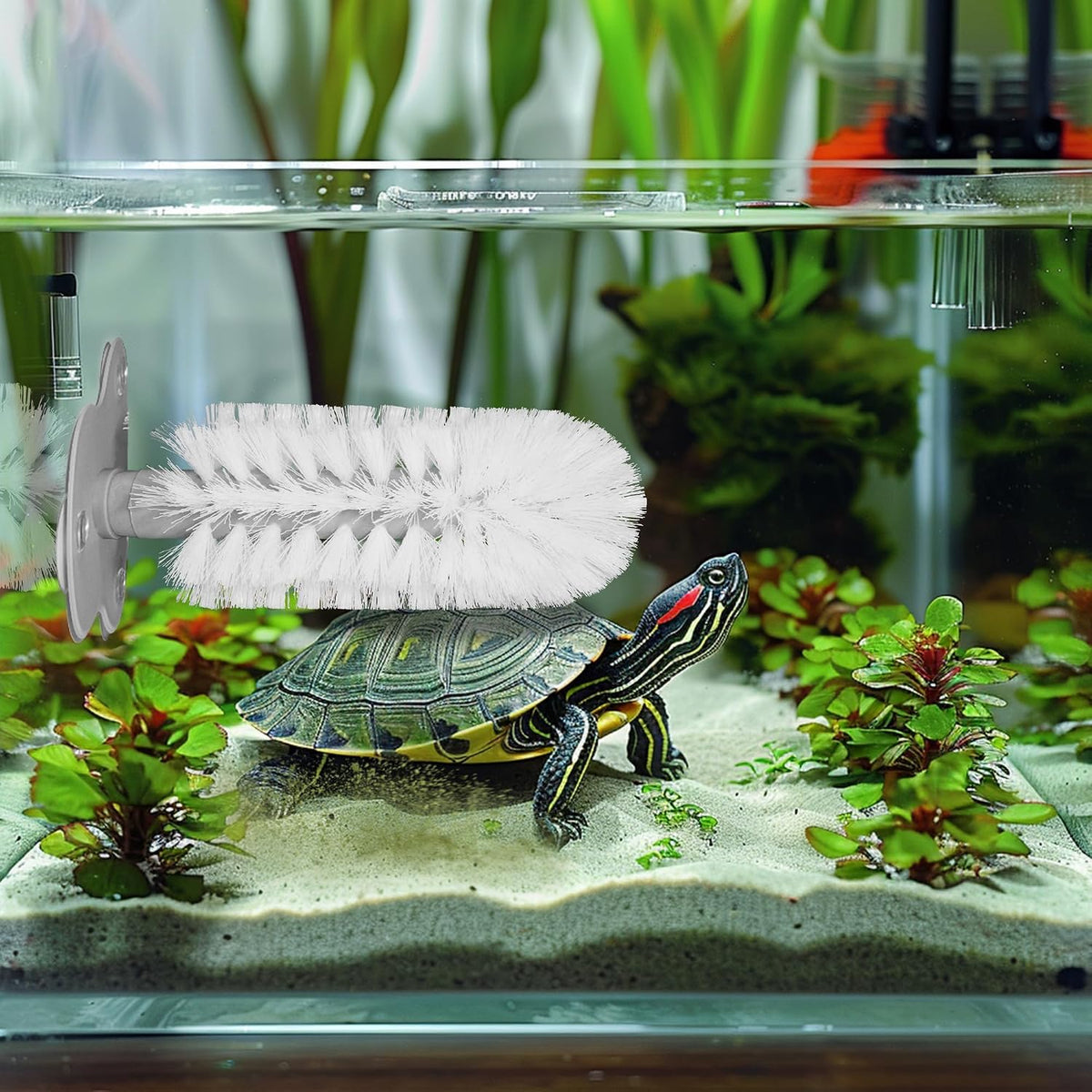 White turtle shell cleaning brush showing triple suction cup base attachment