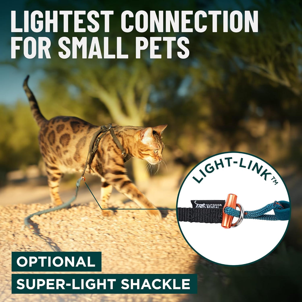 OutdoorBengal leash wrapped around waist for hands-free walking