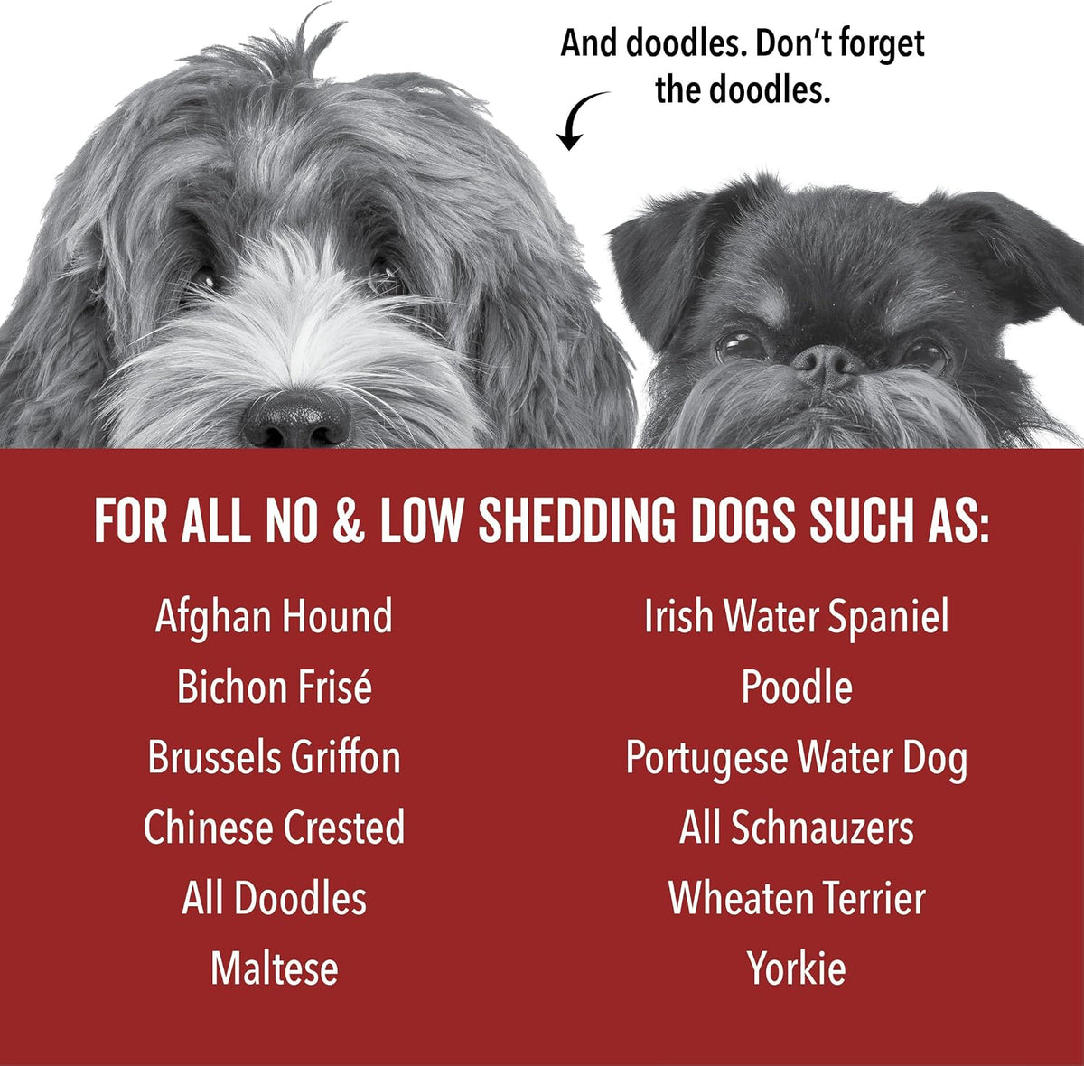 Imported USA dog grooming shampoo for sensitive skin pet care