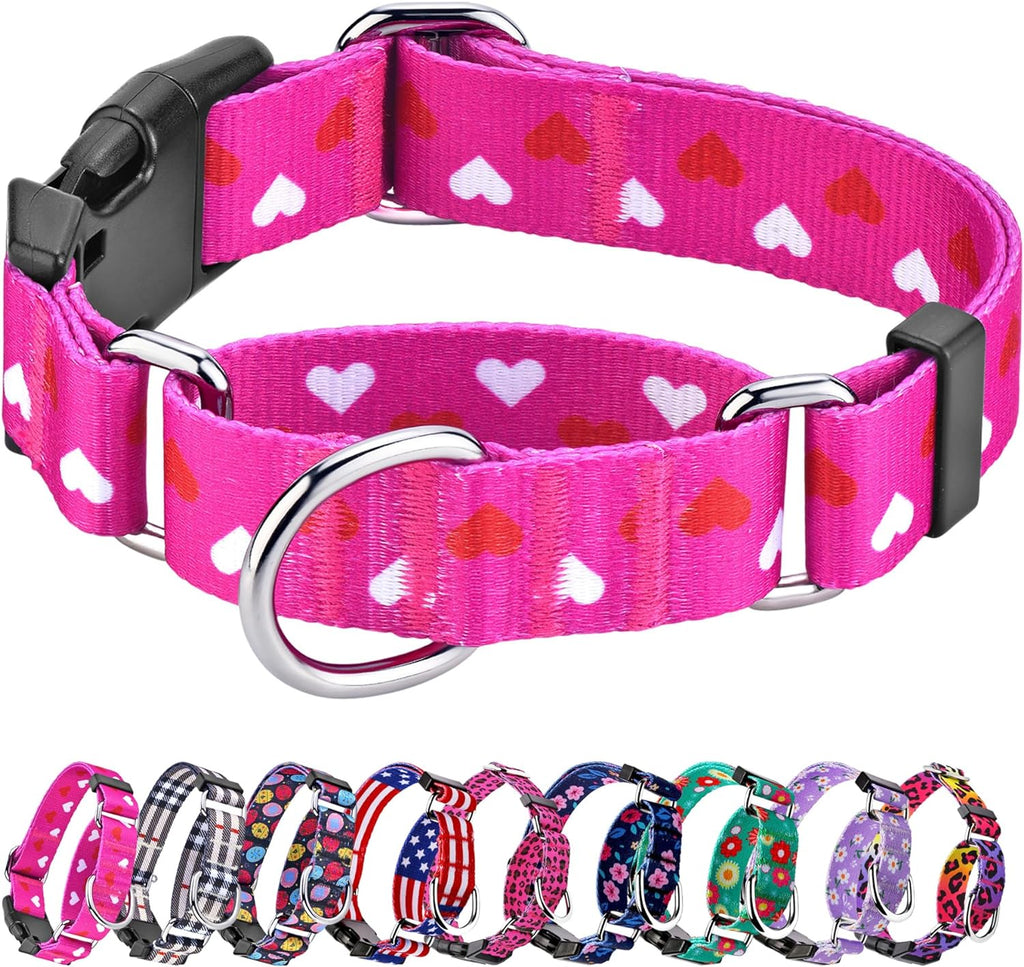 Martingale Collar for Dogs, Adjustable Soft Nylon Dog Collars with Special Design Cute Patterns for Small Medium Large Dog - Image 10