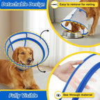Clear plastic Elizabethan collar for large dogs to stop licking