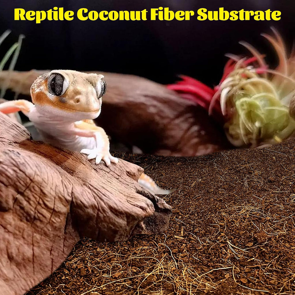 Coarse grained reptile bedding vermiculite poured inside an incubation container
