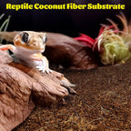 Coarse grained reptile bedding vermiculite poured inside an incubation container