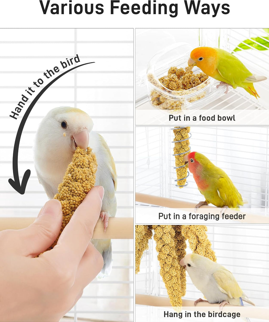 Cockatiel eating organic bird foraging feed