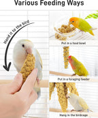 Cockatiel eating organic bird foraging feed
