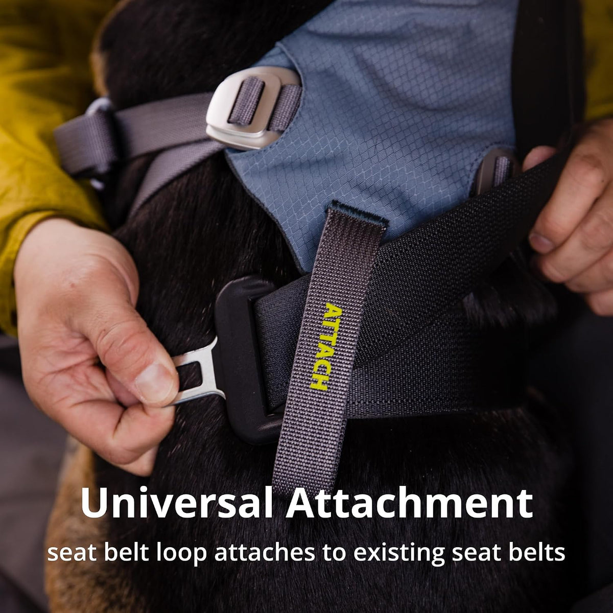 Padded interior view of Ruffwear dog car travel restraint