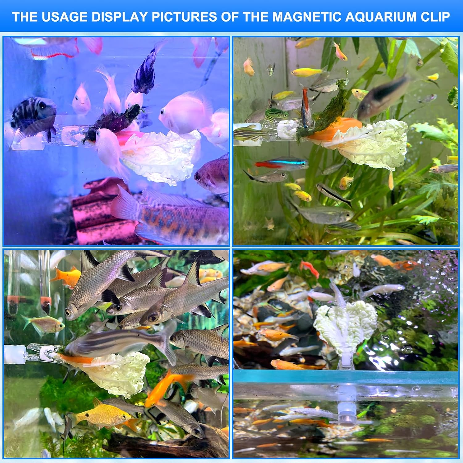 Side profile of NestBasics magnetic fish feeder clip demonstrating its non scratching edge free design on acrylic
