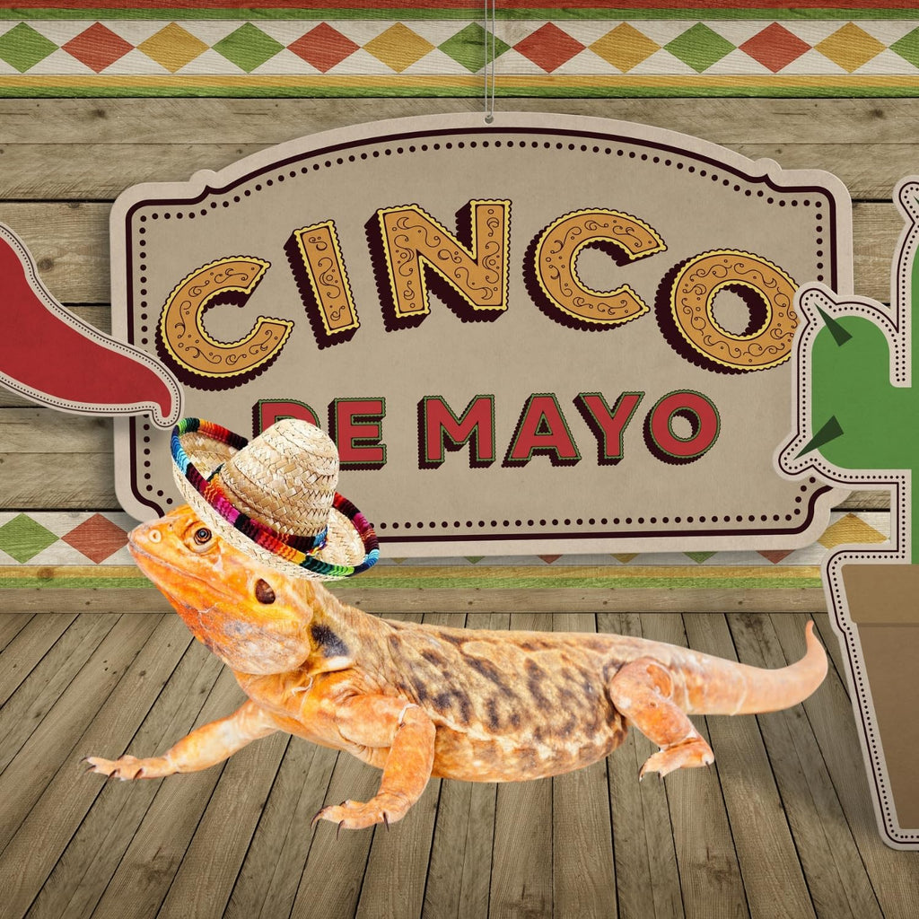 Side profile view of the lightweight mini pet sombrero for hamsters and lizards