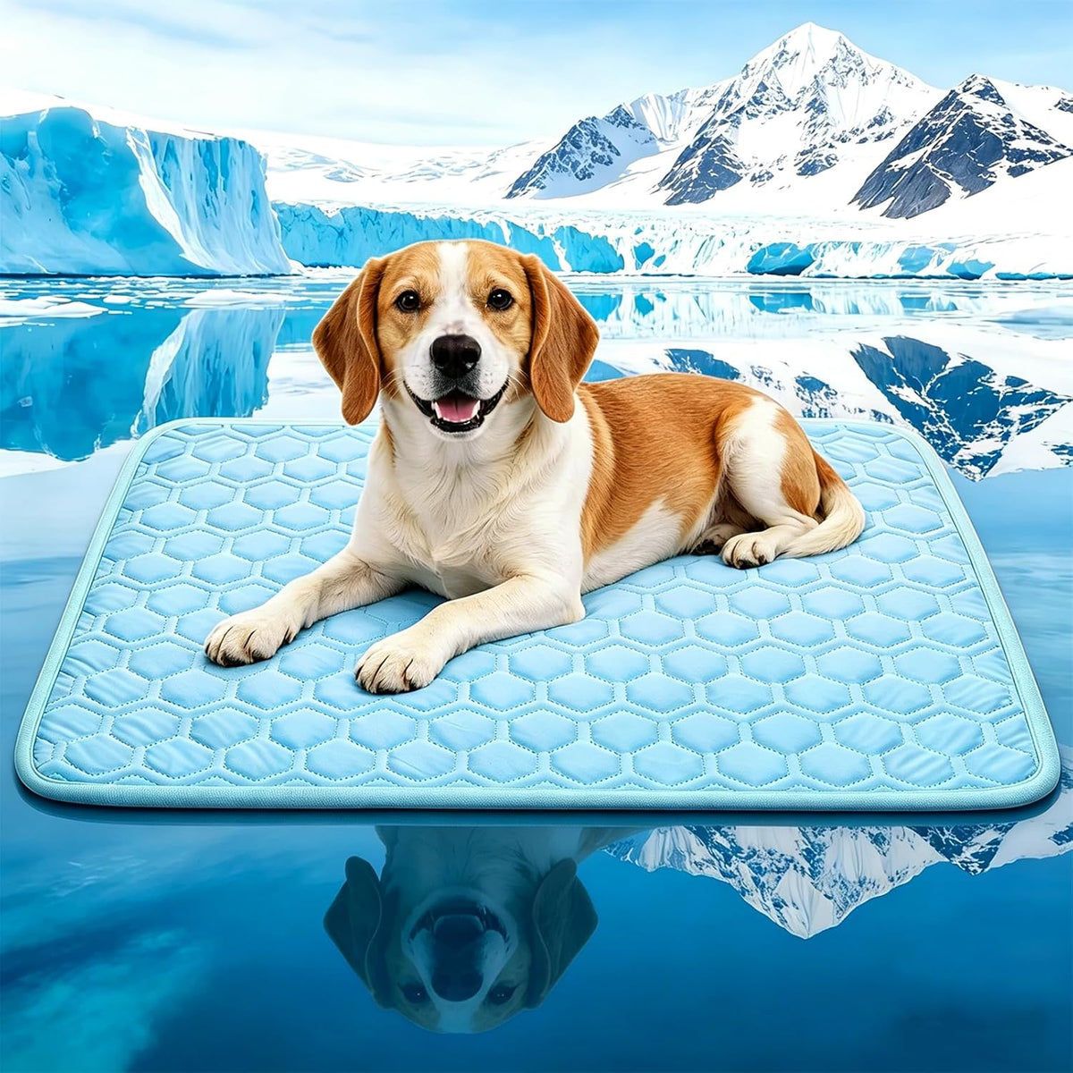 Dgdgbaby Arc Chill Dog Cooling Mat front view showcasing the blue quilted hexagonal pattern fabric.