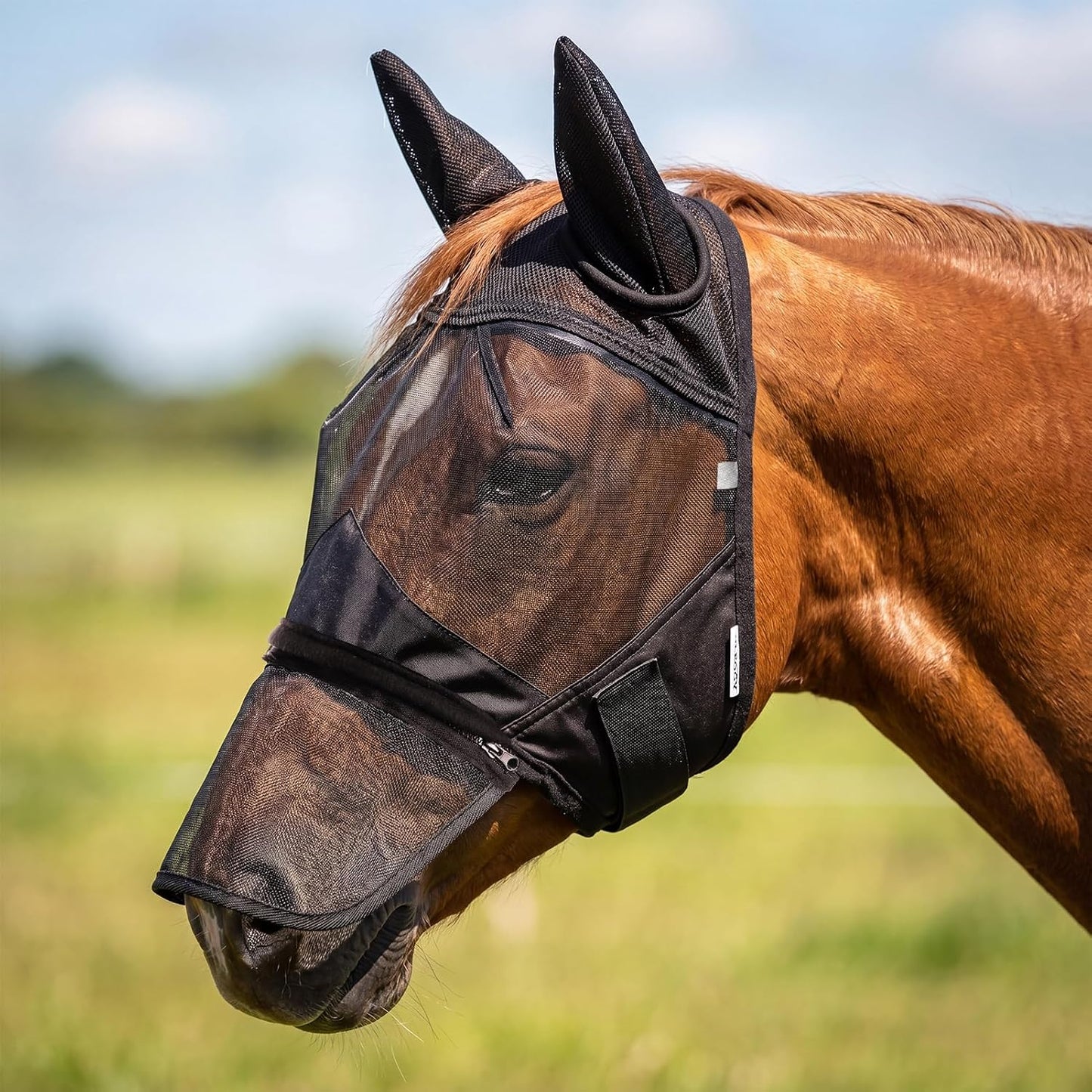 Sagud horse fly mask with ears and detachable nose cover front view