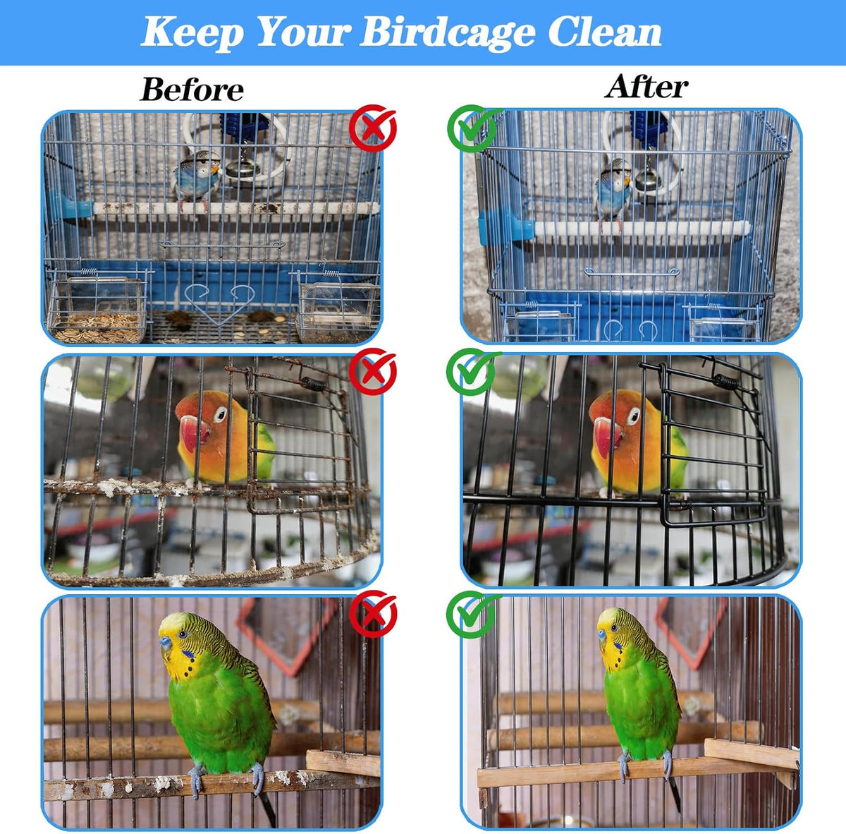 Gavigain pet cage cleaner brushes demonstrating the variety of nylon and angled bristles.