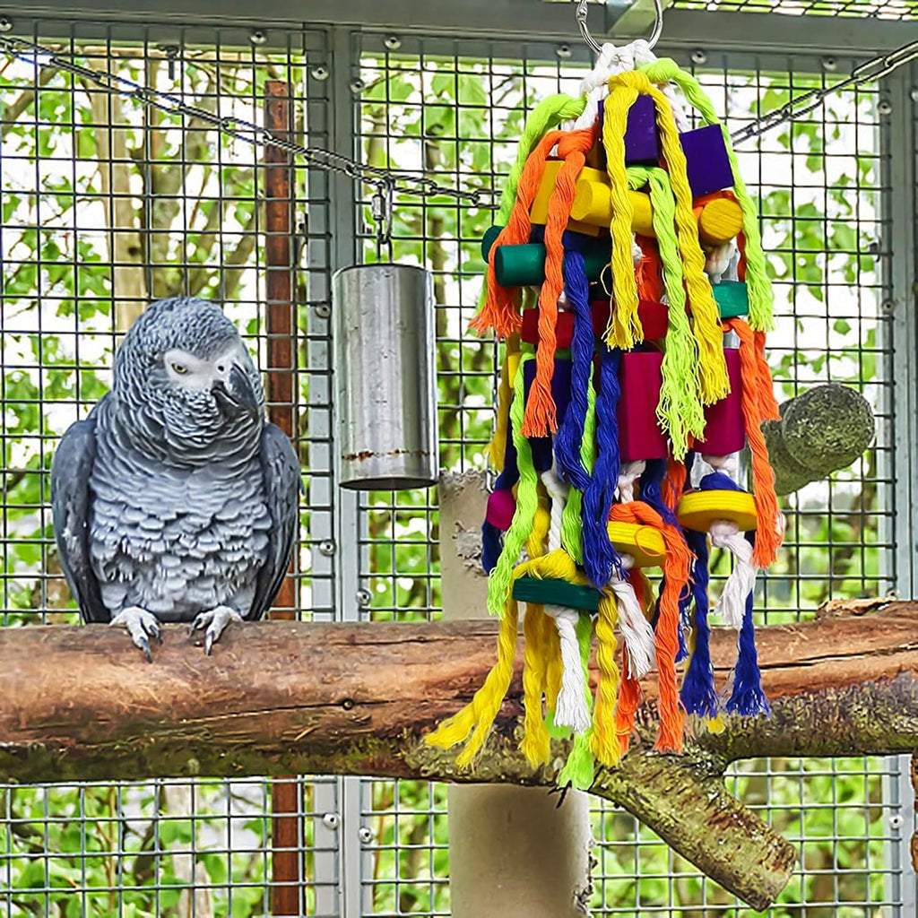 Rypet interactive bird toy showing vibrant food grade pigments
