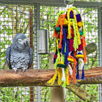 Rypet interactive bird toy showing vibrant food grade pigments