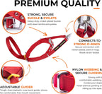 Humane behind the head dog training collar close up on metal buckle