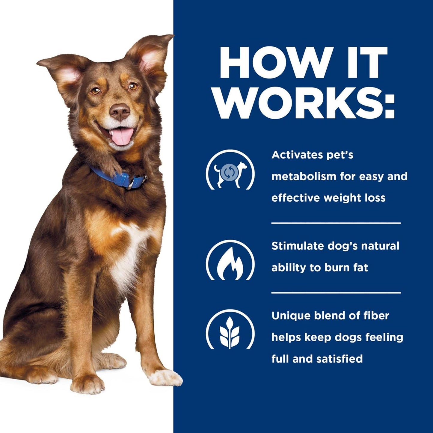 Hill's Prescription Diet Metabolic Weight Management Dry Dog Food, Chicken, 27.5 lb. Bag - Image 9