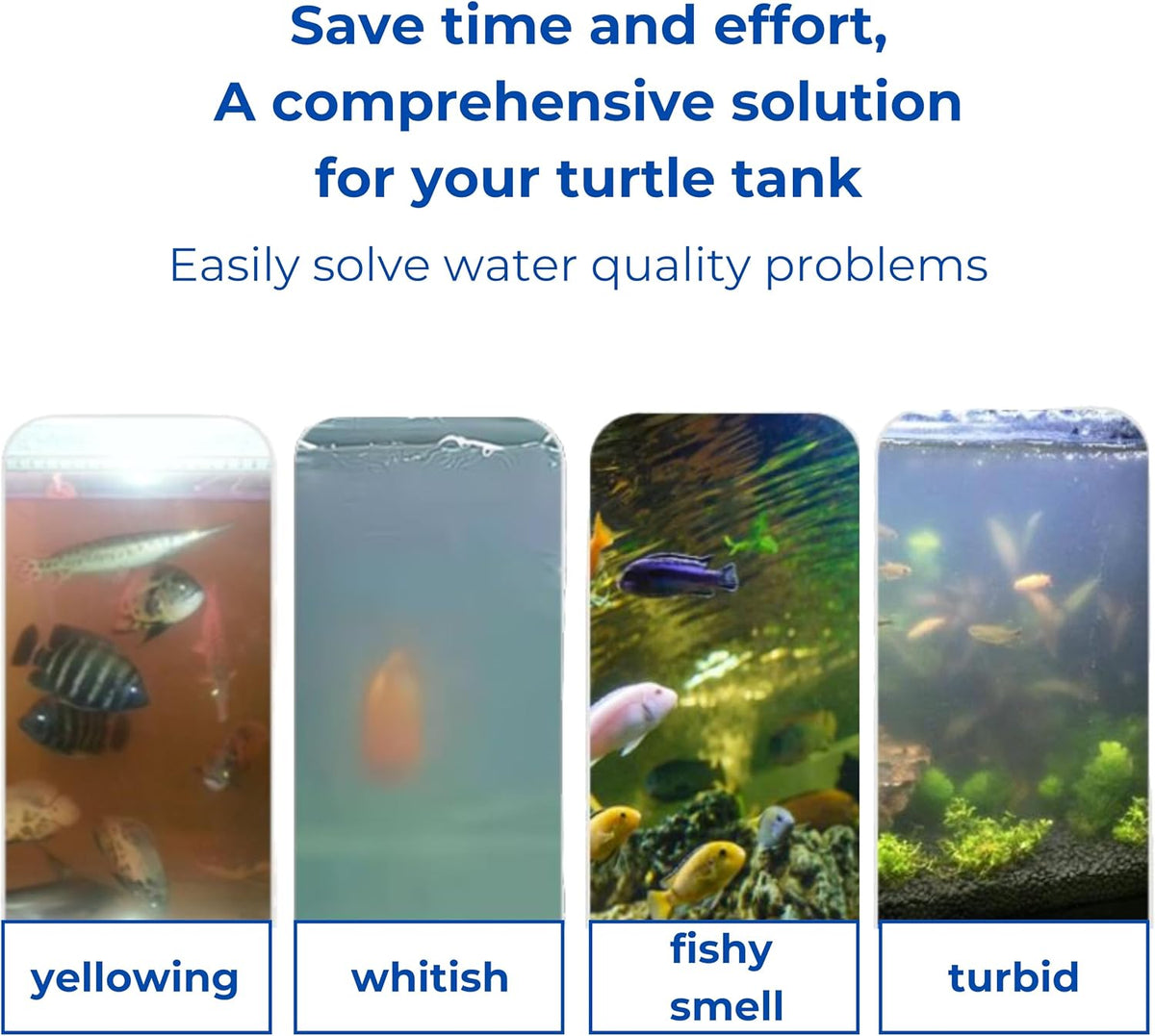 Durable polypropylene and acrylic floating feeder setup inside a reptile enclosure