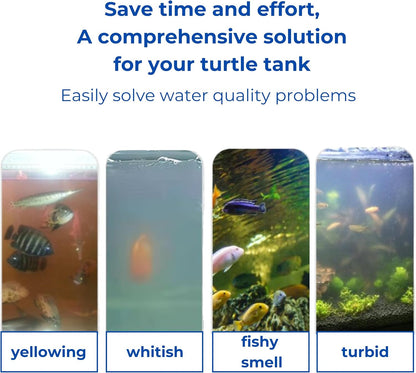 Durable polypropylene and acrylic floating feeder setup inside a reptile enclosure