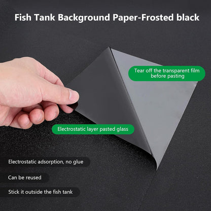 Hygger CO2 matte black aquarium backdrop enhancing vibrant fish colors