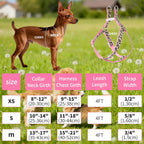 Adjustable nylon dog collar and leash set detail