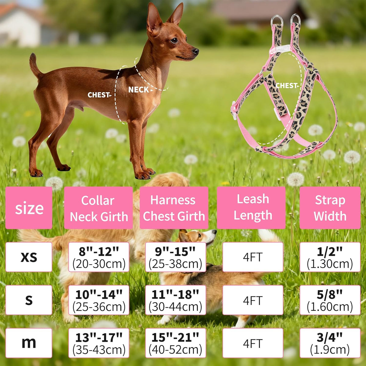 Adjustable nylon dog collar and leash set detail