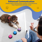 Golden retriever pressing a pawhugs voice recording button during an interactive training session.