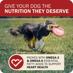 Redbarn Powerfood Fusion beef and lamb dry dog food formula for healthy skin coat and digestive support