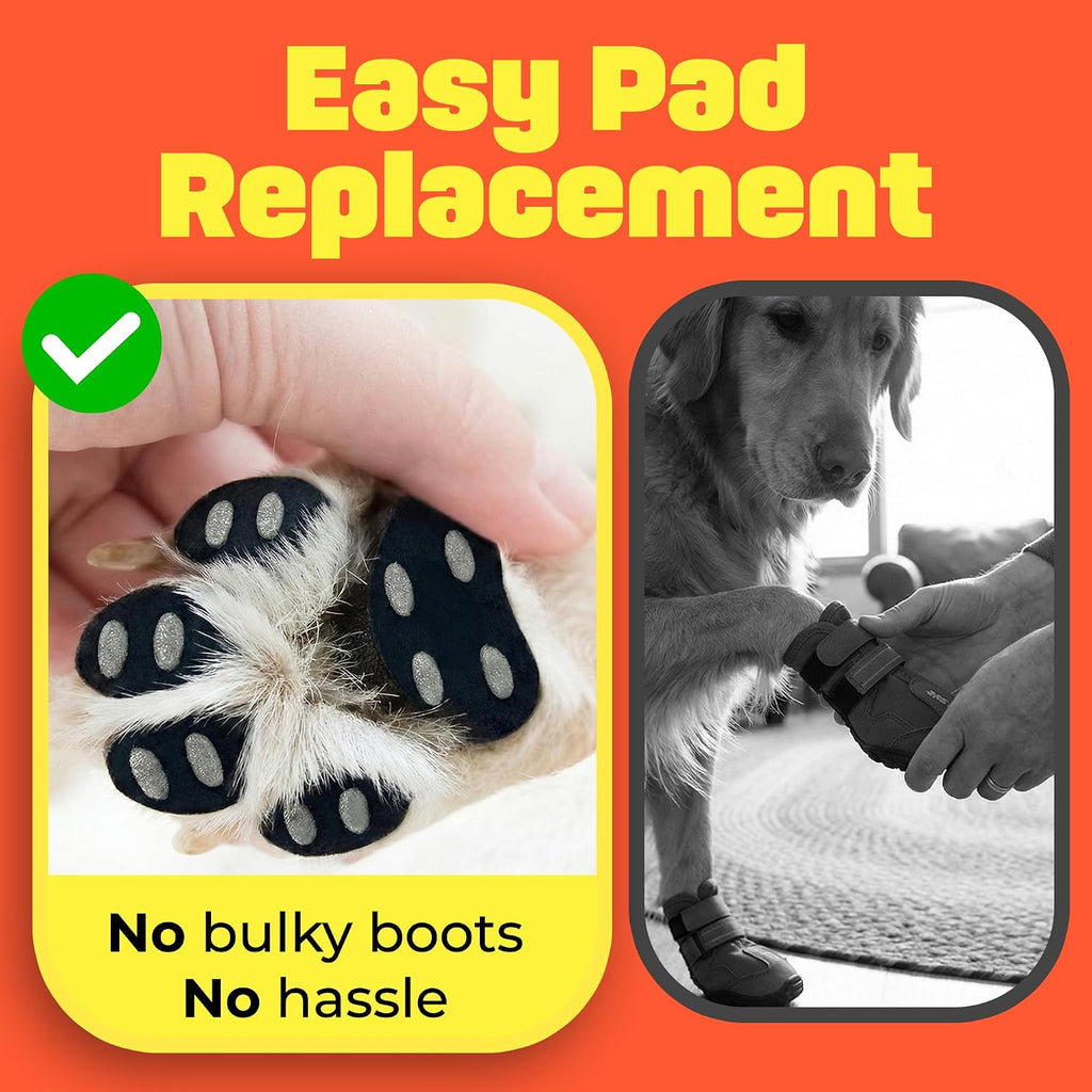 XXL size Hashi dog paw grips for large breeds