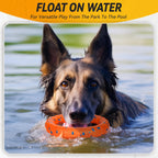 Large breed dog playing with orange Fusoto flying disc