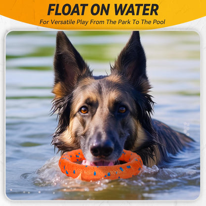 Large breed dog playing with orange Fusoto flying disc