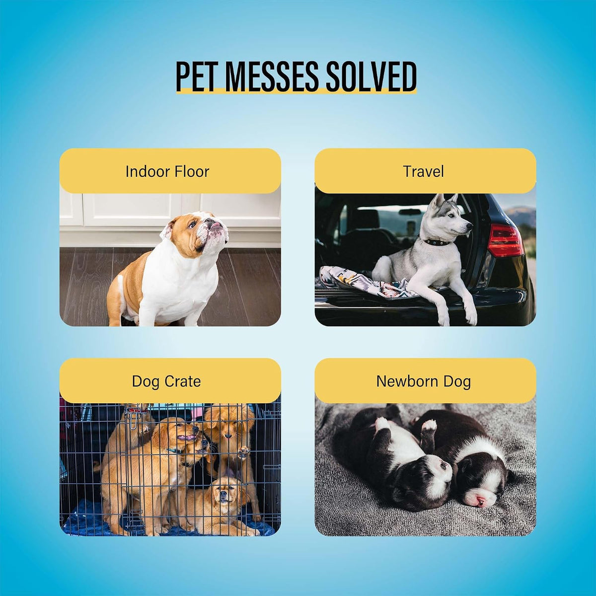 Indoor housebreaking setup using COCOYO training pads away from pet bedding and food bowls.
